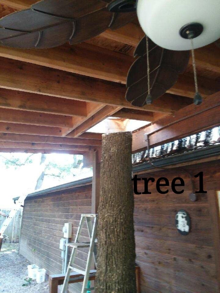 J & S Tree Service tree work near Springfield, MO